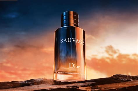 dior sauvage cologne sample|does Dior Sauvage smell good.